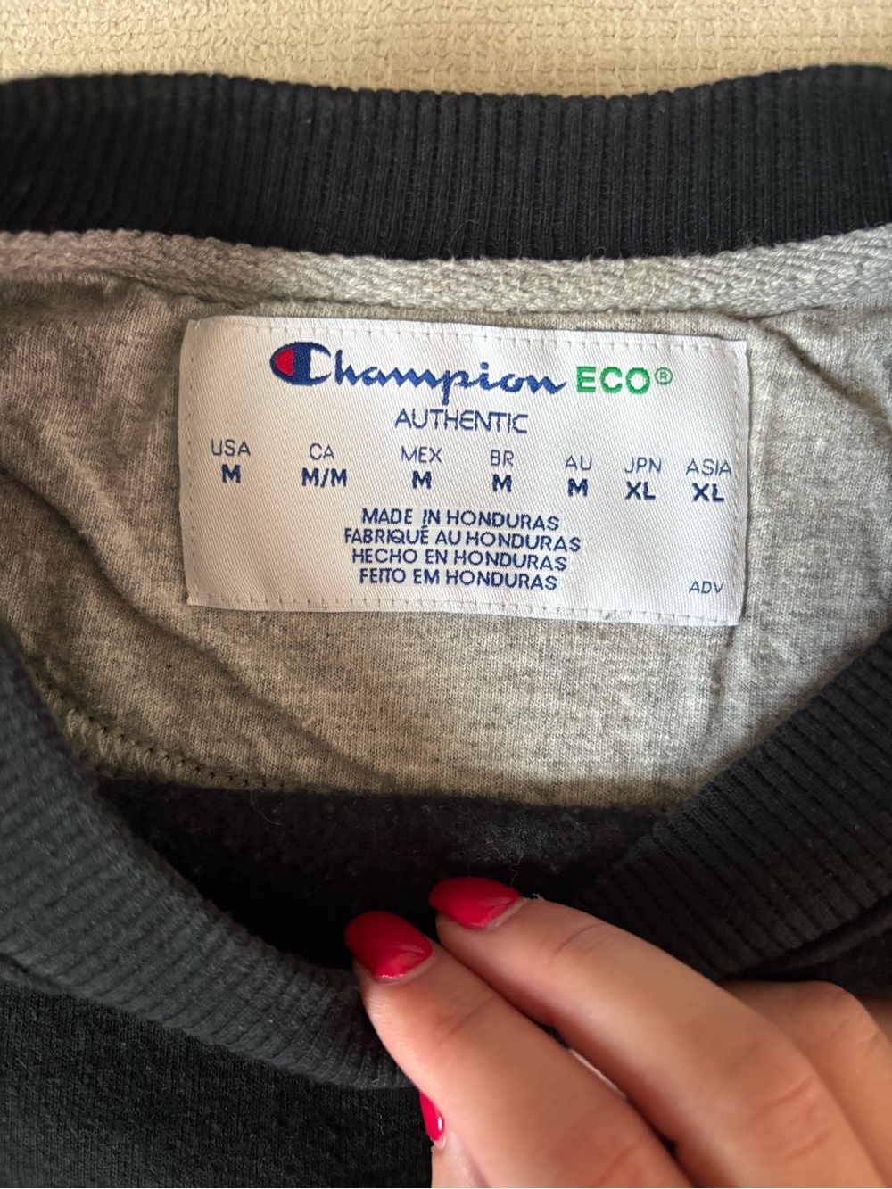 Champion Women's Black Crewneck Sweater with Gray Interior Trim